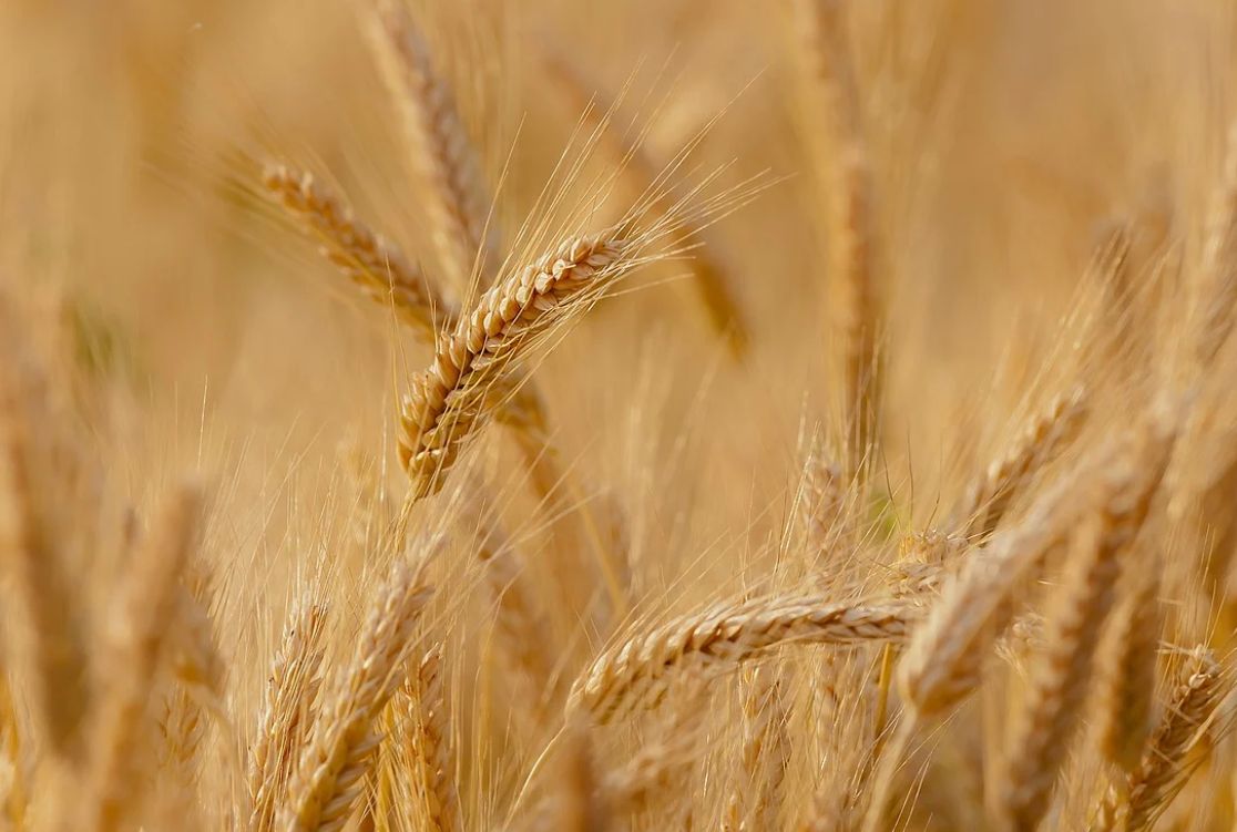 Fundacja im. Stanisława Karłowskiego w Juchowie