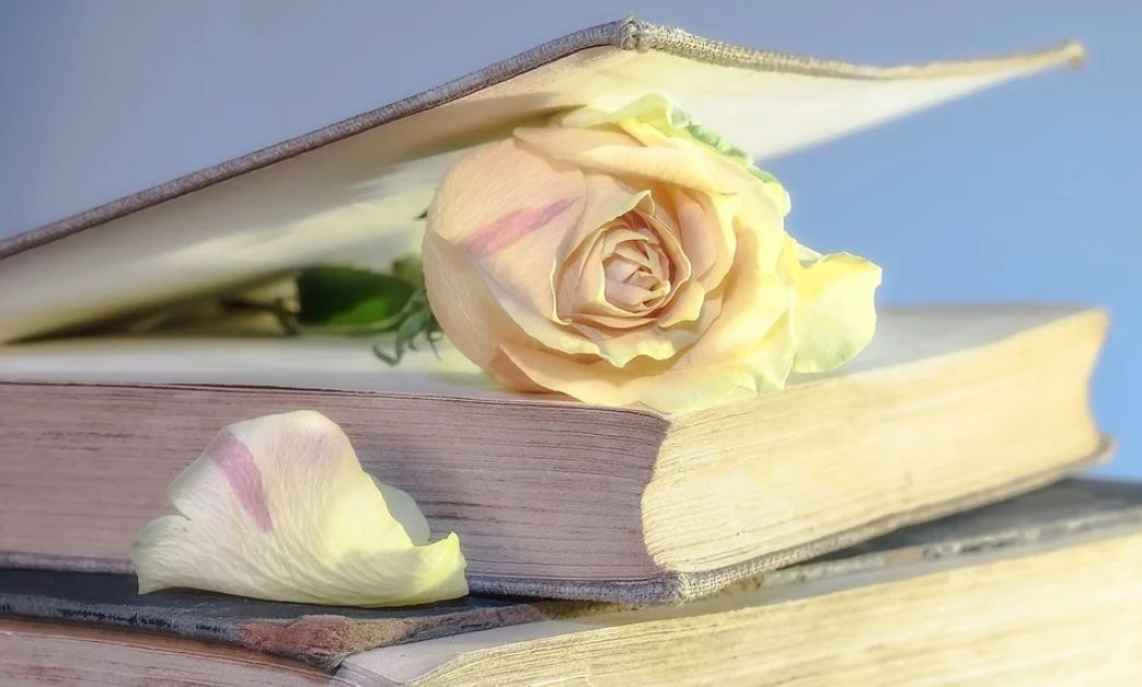 Piękno i sztuka w antropozofii Rudolfa Steinera (7) – literatura