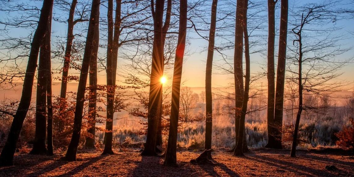 Inspiracje Adwentowe - Zwycięstwo Słońca