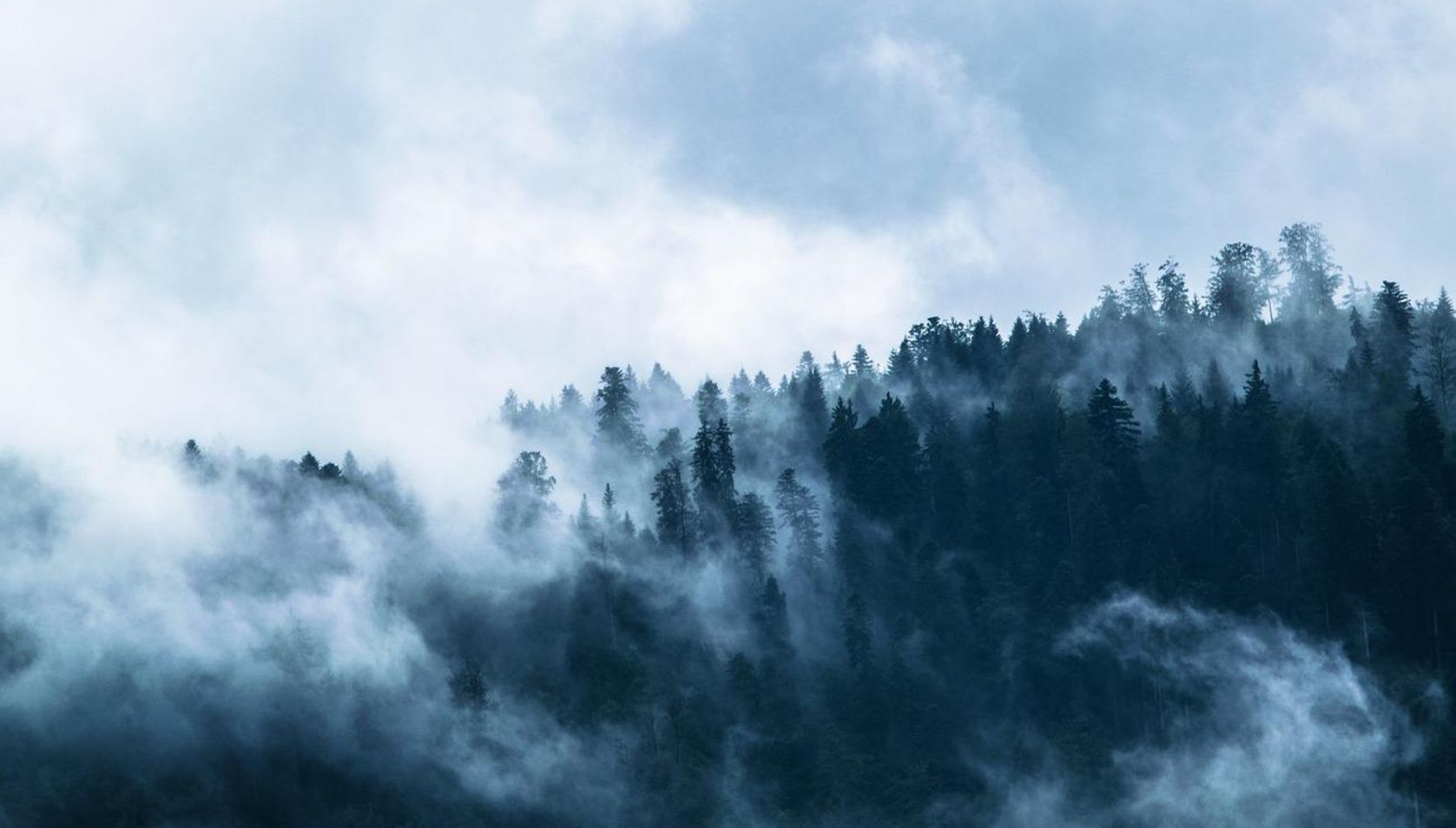 Niektóre cechy dzisiejszego czasu